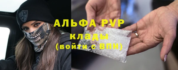 гидра Алексеевка