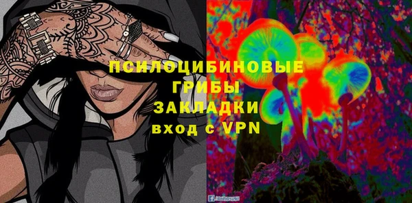 бошки Алексин