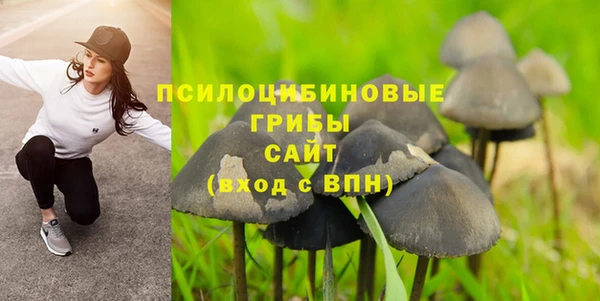 гидра Алексеевка