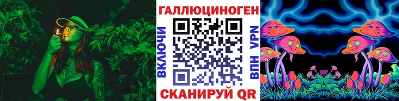 Псилоцибиновые грибы Psilocybe  это какой сайт  Завитинск 